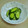 ピーナッツ子♪'s cooksnap of when they made 簡単♪塩と砂糖だけキュウリの浅漬.
