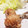 ケンキチ's cooksnap of when they made うちのいつものから揚げ♪.
