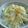 火羽 葵's cooksnap of when they made 簡単キャベツのお通し.