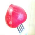 アボカドアキタ's cooksnap of when they made 少量トマトの湯剥き.