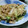 みつばちちゃげ's cooksnap of when they made 青梗菜ともやし炒め.