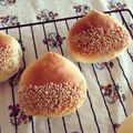 tonryuuki's cooksnap of when they made 栗の甘露煮で栗のクリームパン.