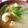 カピバラっちょ's cooksnap of when they made アスパラのサッパリ味噌汁.