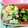 ほりもも's cooksnap of when they made お弁当にも♪ほうれん草とハム卵炒め.