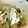 mimosayo's cooksnap of when they made とってもクリーミィーなほうれん草の白あえ.