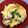 なるなゆ's cooksnap of when they made The 親子丼.