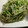 miyabi1011's cooksnap of when they made 節約☆もやしとレタスのコク旨ピリ辛炒め.