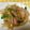 とにーにょ's cooksnap of when they made もやしとカイワレ菜のごまポン和え.