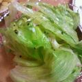 curisupin's cooksnap of when they made まるで焼き肉屋さんの味☀チョレギサラダ.