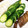 premegu's cooksnap of when they made おもてなしのぬか漬け.