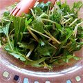 旦那は皿洗い's cooksnap of when they made 和えるだけ!水菜サラダ.