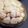 あざらしの赤ちゃん's cooksnap of when they made 大根と鶏団子の煮物.