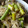 hokiiti's cooksnap of when they made タケノコと豚肉炒め.