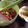めぐぐっさん's cooksnap of when they made 超簡単 マヨポンドレッシング.