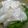 みけねこやよい's cooksnap of when they made 桜鯛で作る お刺身.