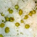 えみぱんまん's cooksnap of when they made 昆布だしがきいた簡単豆ごはん.