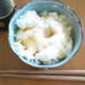 satoeda's cooksnap of when they made クセになる！簡単チーたまご飯.