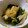 962's cooksnap of when they made きのことほうれん草の煮浸し＊.