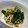 バカリャウ's cooksnap of when they made にらとえのきの梅和え.