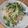 きらり流れ星's cooksnap of when they made かいわれ大根とかにかまのオリ醤油和え.
