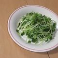 きらり流れ星's cooksnap of when they made カイワレ大根のゴマおひたし.