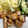 ☆そららん☆'s cooksnap of when they made ＊かじきまぐろの竜田揚げ＊.