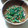 chie-zou88's cooksnap of when they made 春菊と納豆のからし和え.