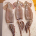 Sachi☆cafe's cooksnap of when they made イカ（するめイカ）の下処理【動画プラス】.