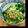 milk＊crown's cooksnap of when they made 納豆とにらの辛子あえ.