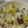amanusa's cooksnap of when they made ★あま～いさつまいもご飯★.