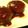 おっちょこび's cooksnap of when they made ふっくら肉汁ジュワ～✿自慢のハンバーグ✿.