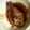 MYAR's cooksnap of when they made イカ飯.