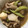 ちいちい0523's cooksnap of when they made スジ肉と里芋の煮物.