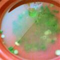 ユーロン's cooksnap of when they made ☆簡単☆とろろ昆布のすまし汁.