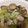 MMLLAKN's cooksnap of when they made あさりの酒蒸し.