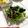 tsukky98's cooksnap of when they made 納豆水菜サラダ.