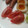 サーフブレイド's cooksnap of when they made はちみつトマト.