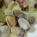ikuhei's cooksnap of when they made あさりベーコンとキャベツ蒸し.