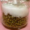 mmameco's cooksnap of when they made 青いまま実山椒.