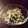 さほまむ's cooksnap of when they made 小松菜としらすのあっさり炒め.