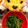 となりのぷぅちゃん's cooksnap of when they made ほうれん草のごまあえ.