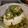 cocoroの扉's cooksnap of when they made 山形のだし♪.