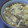 nin's cooksnap of when they made マイタケが主役◆かきたまにゅうめん.