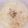 aa_ya's cooksnap of when they made えびと豆腐の淡雪スープ.