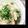 かんな＞＜'s cooksnap of when they made オクラと長芋の梅酢あえ.