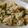みいこまま's cooksnap of when they made アスパラ塩炒飯.