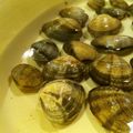 facai's cooksnap of when they made 浅利の砂抜き.