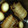 nsgp's cooksnap of when they made 圧力鍋でとろとろ焼き豚～とろとろ煮豚.