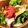 それいゆ★'s cooksnap of when they made 【簡単副菜】タコと新玉葱のマリネ風サラダ.