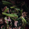 ノエル〜's cooksnap of when they made 定番お惣菜♪ほうれん草の胡麻和え.